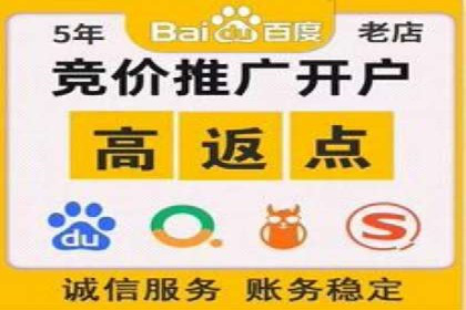 行业巨头的SEM广告投放策略揭秘